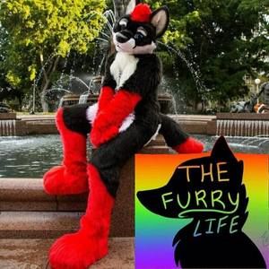 Meet your Posher, Aiden